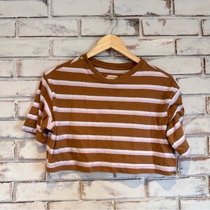 BDG crop short sleeve t-shirt brown white pink stripes